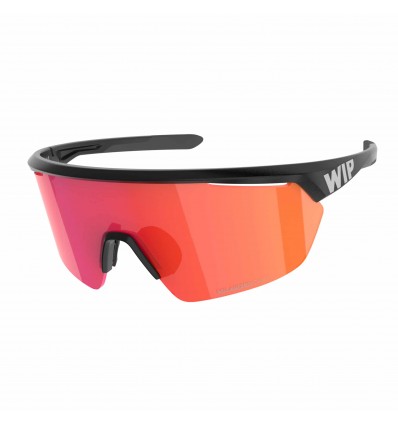 Gust Aero 2.0 Polarized